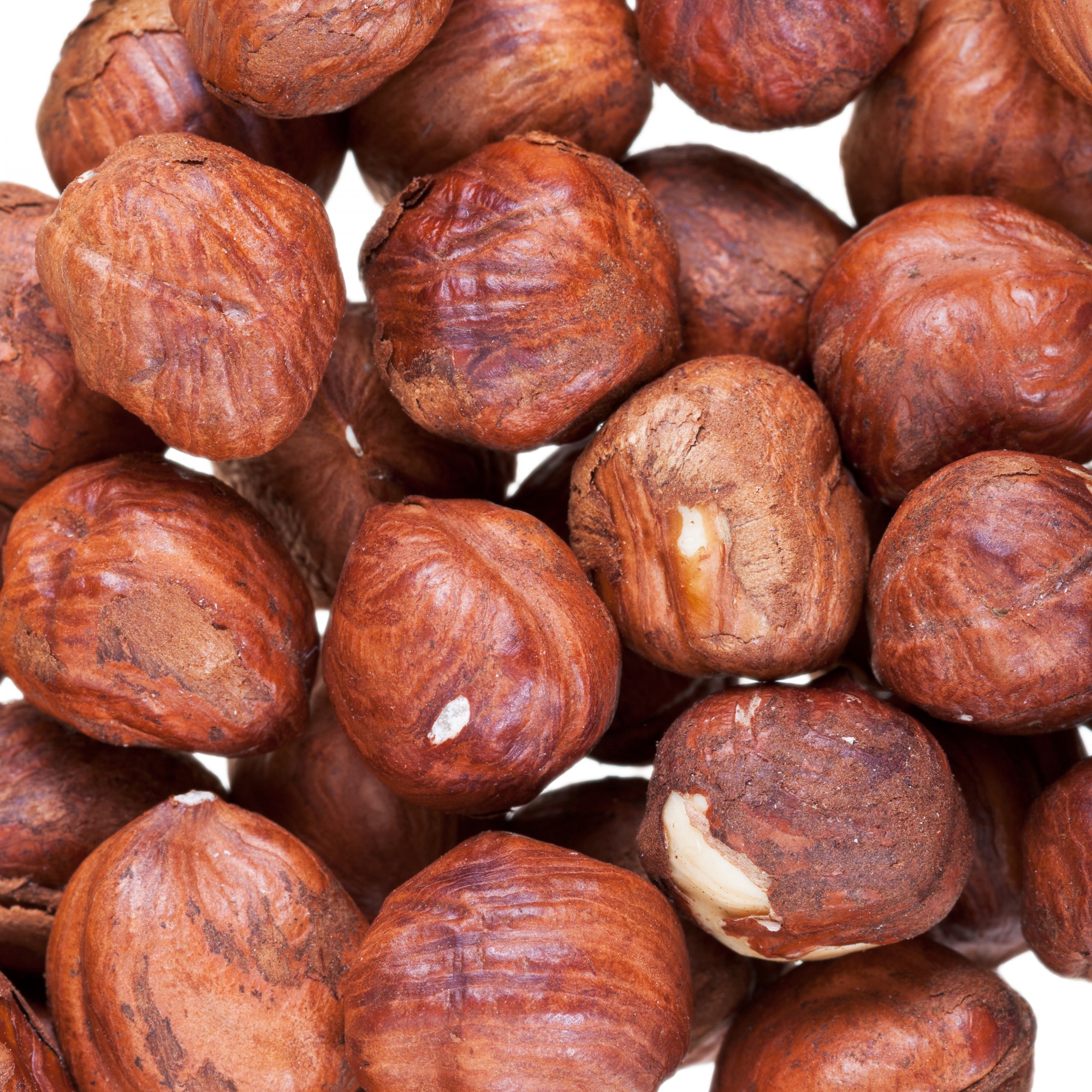 Shelled Hazelnuts 1 lb (454 g) Bag Shelled Filberts PipingRock Health Products